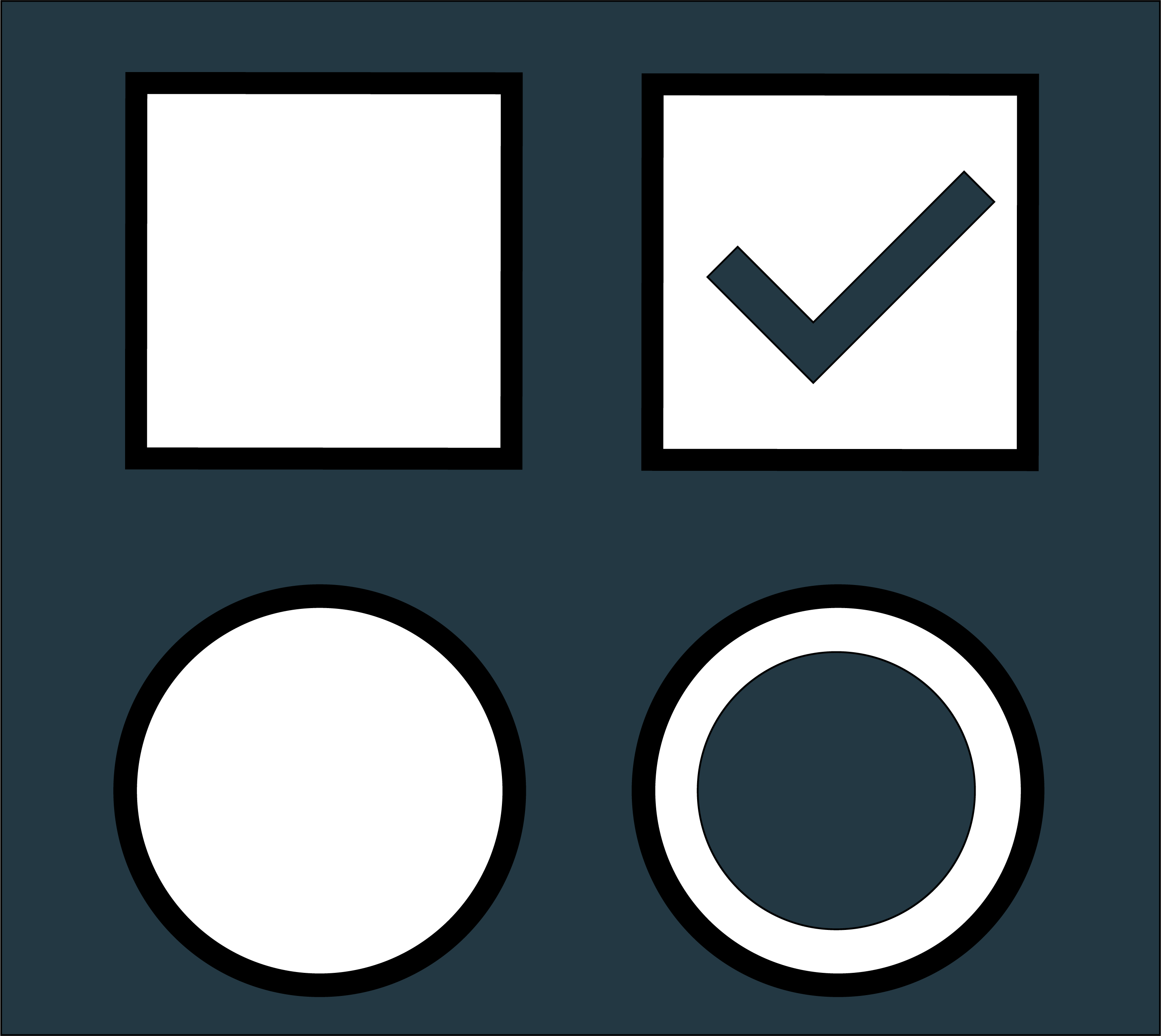 Image containing checkbox and radio buttons