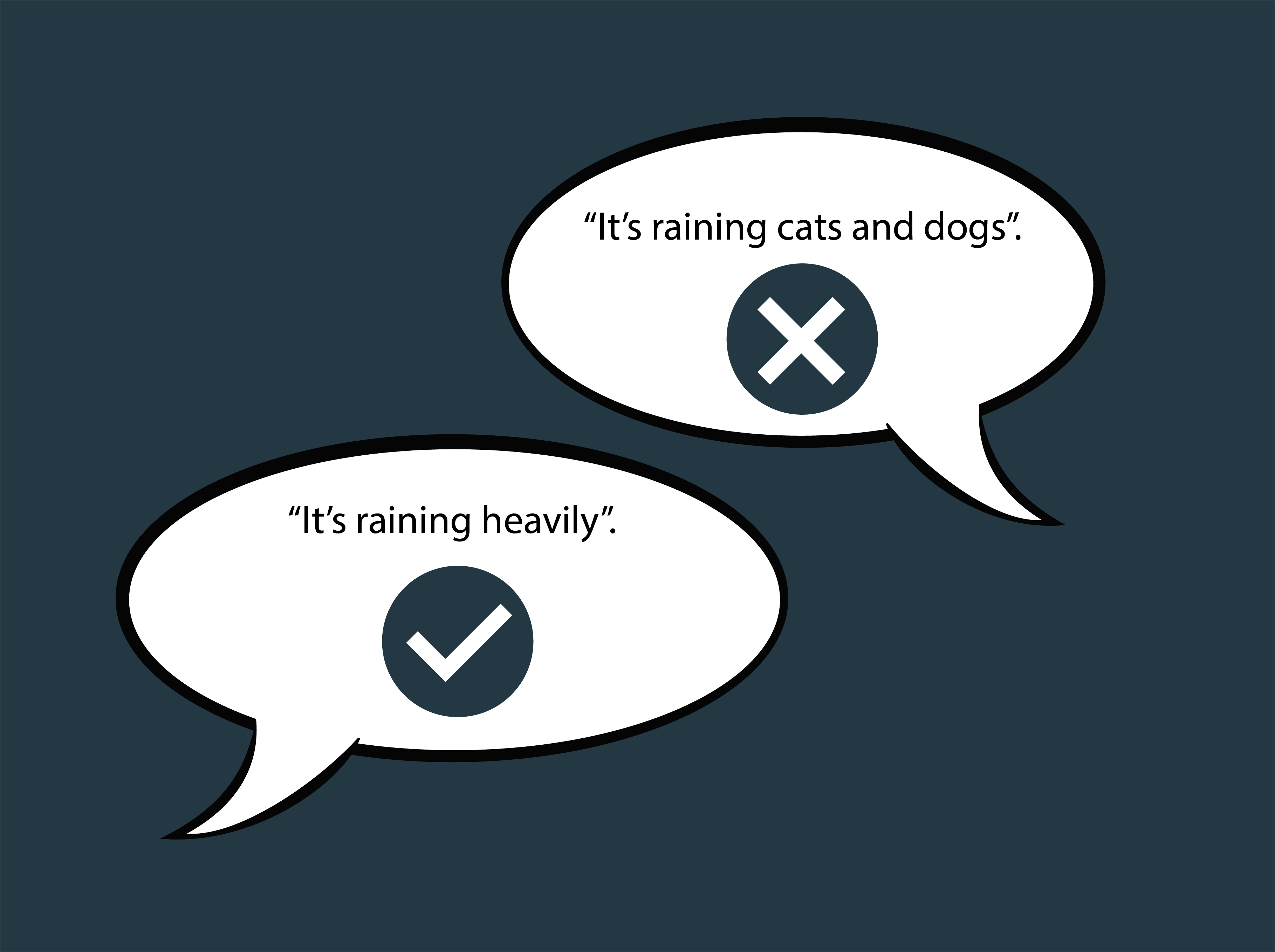 Image displaying correct and incorrect alt text on an image